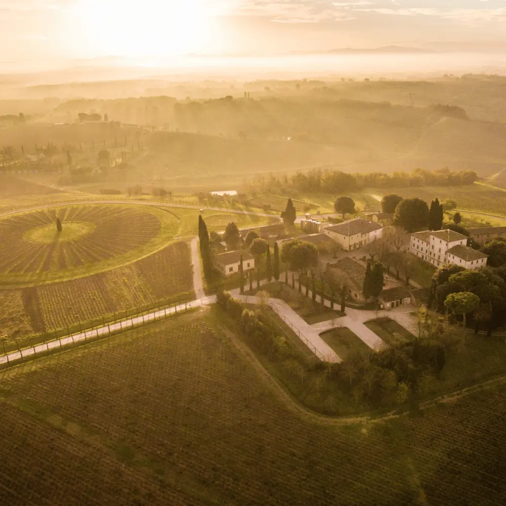 Weinberg le Capezzine_ Weingut Avignonesi_Italien, Toskana