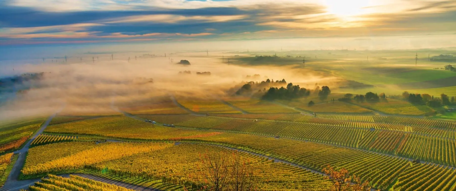 Weinberge vom Weingut Christian Hirsch in Württemberg_Traumkulisse im Herbst