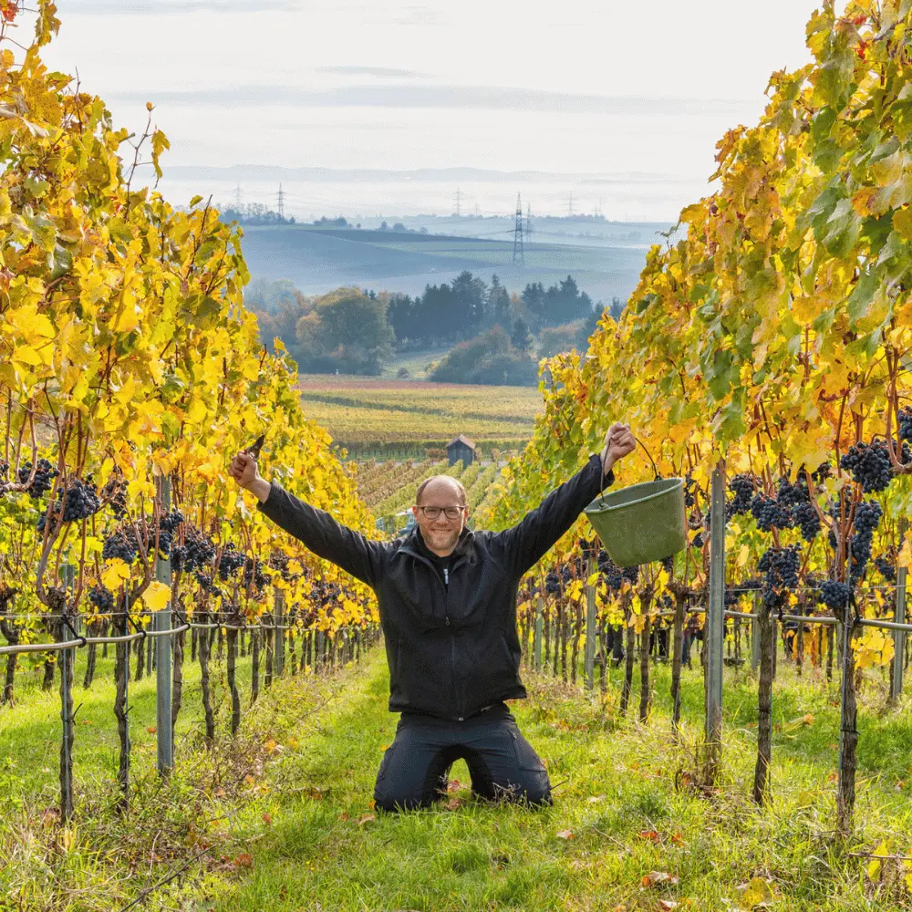 Winzer Christian Hirsch nach beendeter Traubenlese im Weingut Christian Hirsch_Württemberg